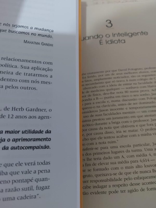 Inteligencia emocional A teoria revolucionaria que redefine o que e ser inteligente 1 3